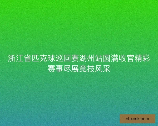 浙江省匹克球巡回赛湖州站圆满收官精彩赛事尽展竞技风采
