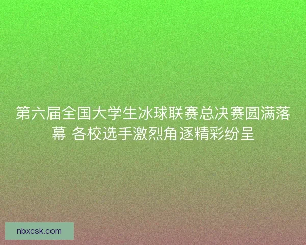 第六届全国大学生冰球联赛总决赛圆满落幕 各校选手激烈角逐精彩纷呈