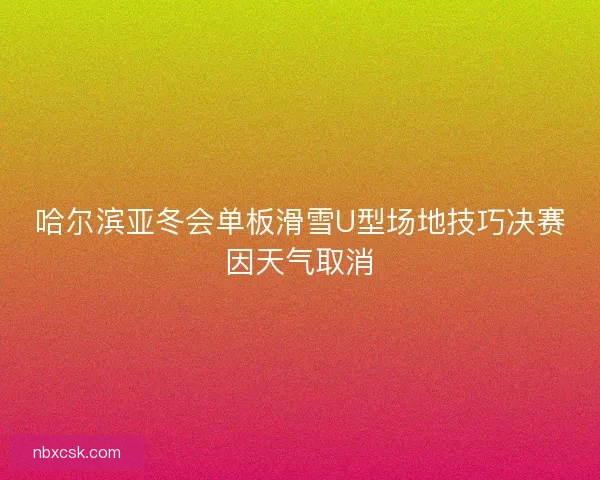 哈尔滨亚冬会单板滑雪U型场地技巧决赛因天气取消