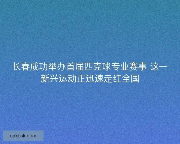 长春成功举办首届匹克球专业赛事 这一新兴运动正迅速走红全国 长春成功举办首届匹克球专业赛事 这一新兴运动正迅速走红全国
