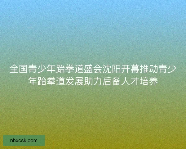 全国青少年跆拳道盛会沈阳开幕推动青少年跆拳道发展助力后备人才培养