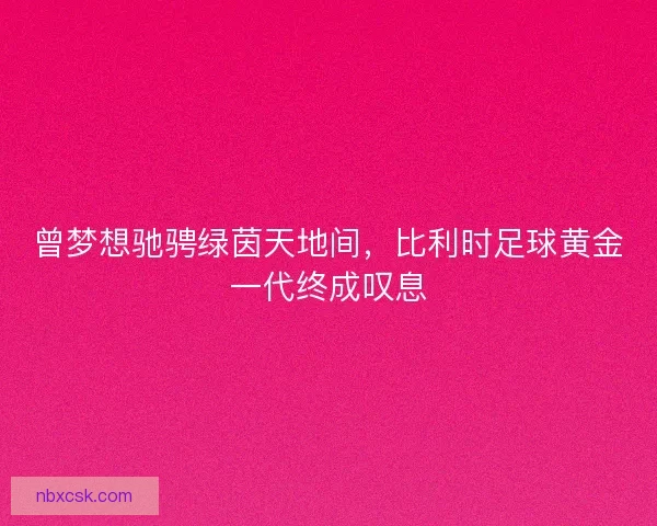 曾梦想驰骋绿茵天地间，比利时足球黄金一代终成叹息